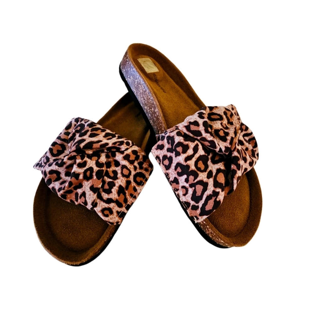 Leopard slides